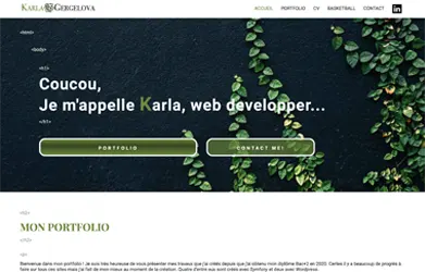 screen shot of new portfolio website